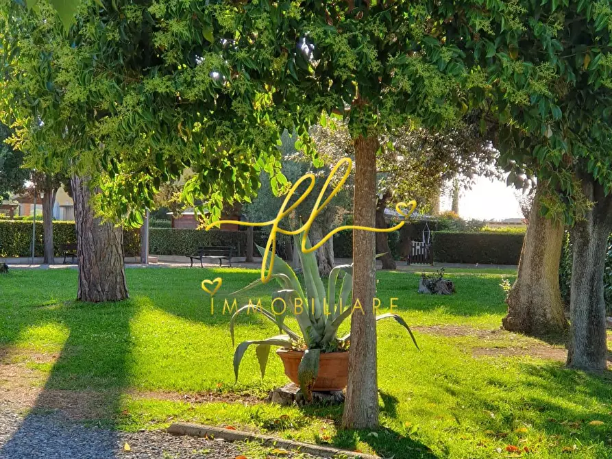 Immagine 16 di Appartamento in vendita  a Cecina