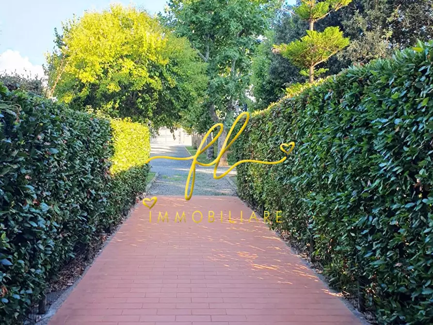 Immagine 14 di Appartamento in vendita  a Cecina