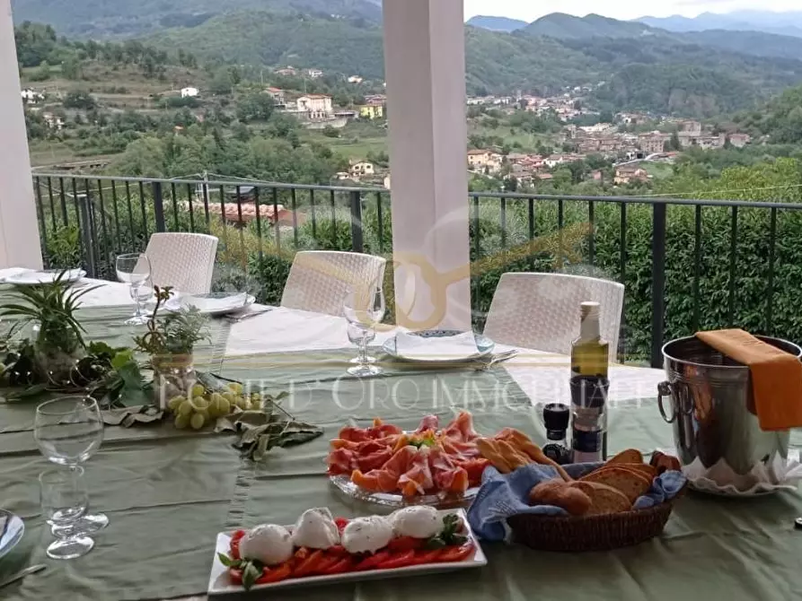 Immagine 19 di Villa in vendita  a Piazza Al Serchio