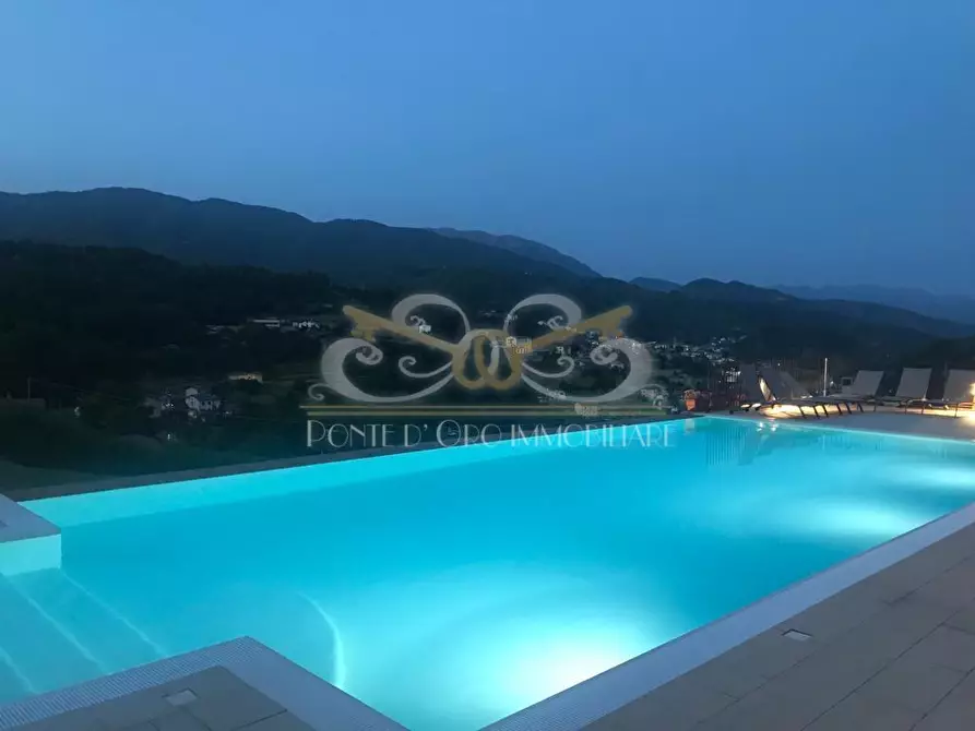 Immagine 22 di Villa in vendita  a Piazza Al Serchio