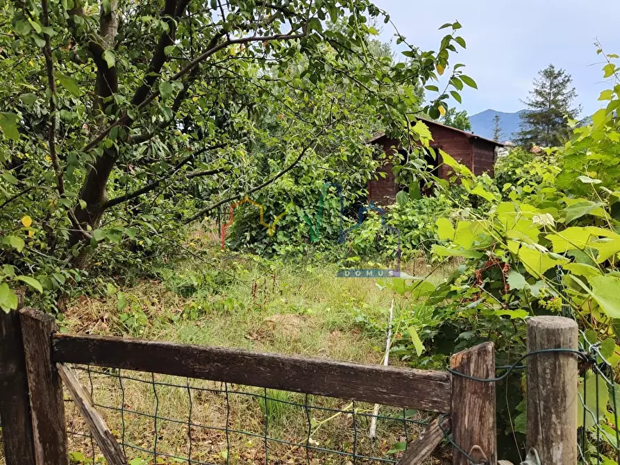 Immagine 23 di Terratetto in vendita  a Cascina