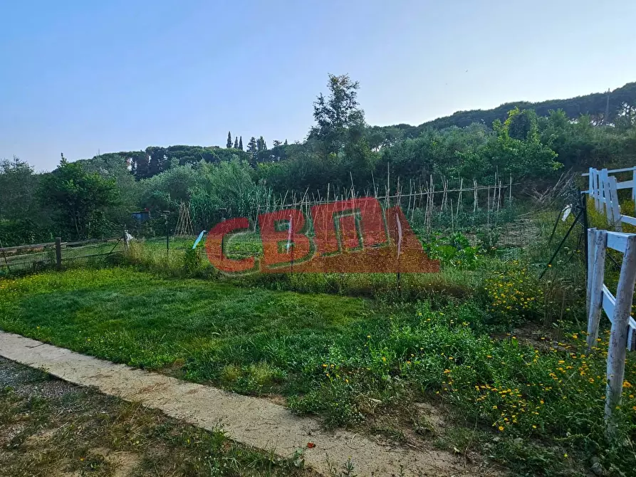 Immagine 2 di Terreno agricolo in vendita  a Livorno