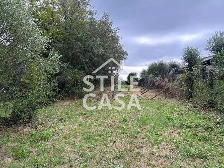 Immagine 2 di Terreno agricolo in vendita  a Fucecchio