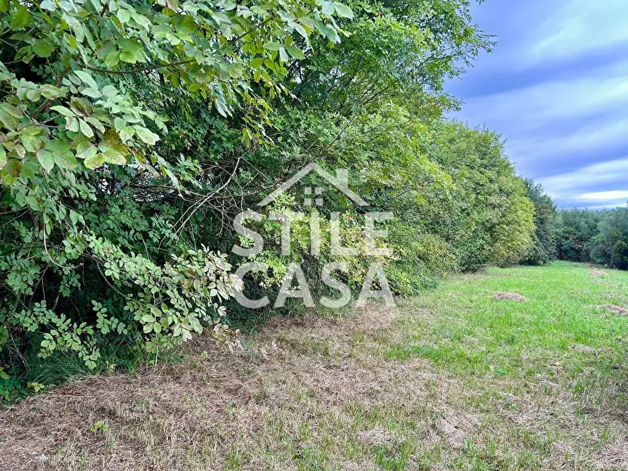 Immagine 3 di Terreno agricolo in vendita  a Fucecchio