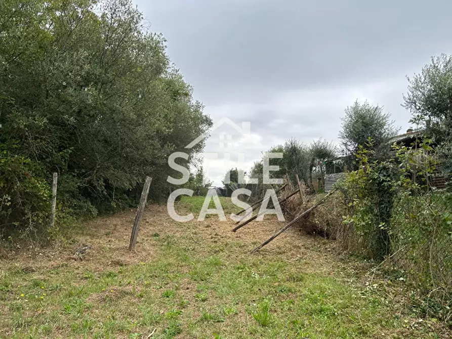 Immagine 6 di Terreno agricolo in vendita  a Fucecchio