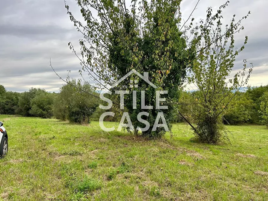 Immagine 9 di Terreno agricolo in vendita  a Fucecchio