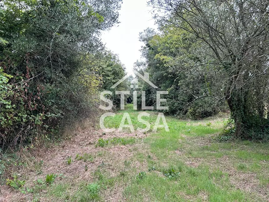 Immagine 7 di Terreno agricolo in vendita  a Fucecchio