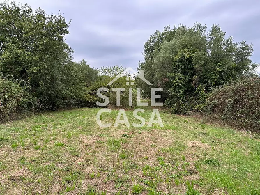 Immagine 8 di Terreno agricolo in vendita  a Fucecchio