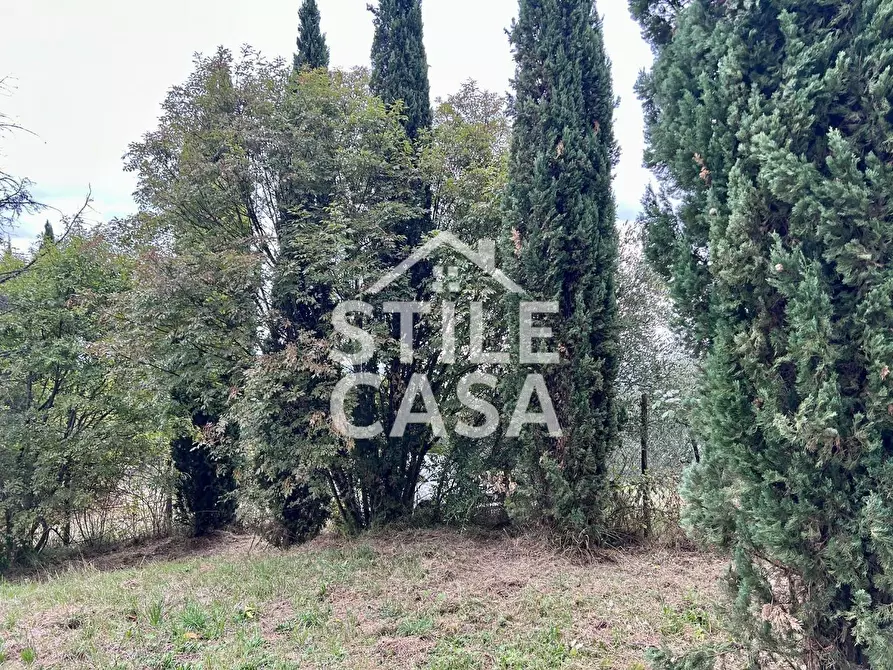 Immagine 5 di Terreno agricolo in vendita  a Fucecchio