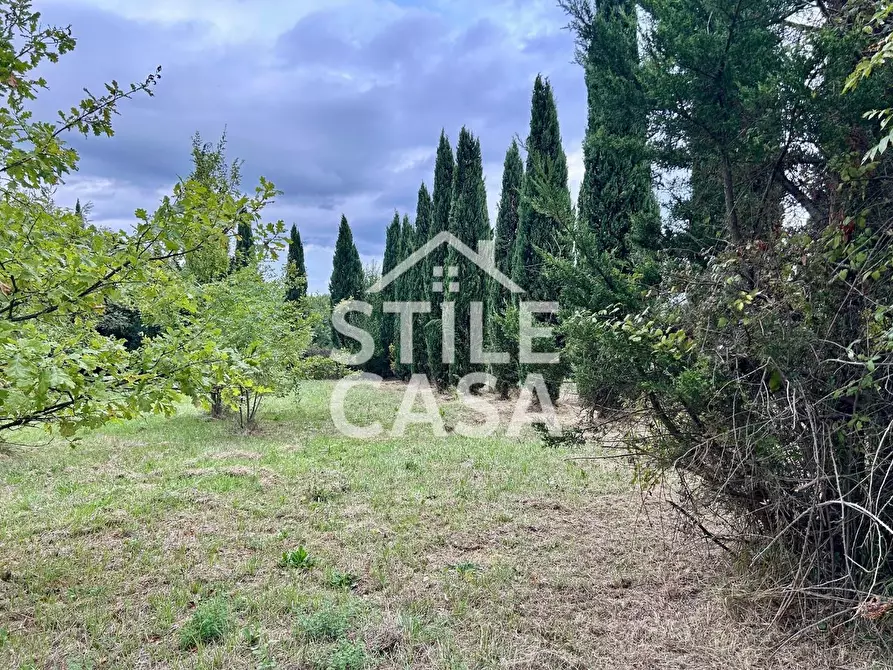 Immagine 4 di Terreno agricolo in vendita  a Fucecchio