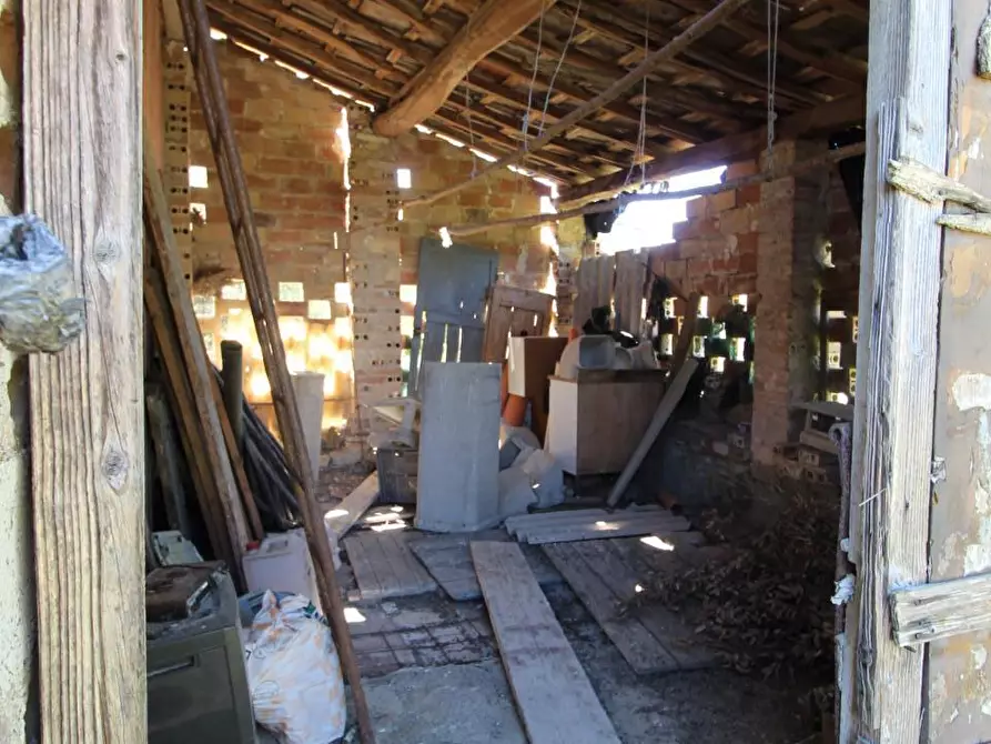 Immagine 4 di Appartamento in vendita  a Casole D'elsa