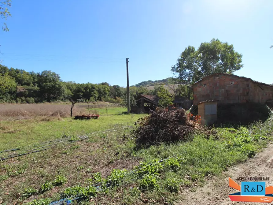 Immagine 7 di Appartamento in vendita  a Casole D'elsa