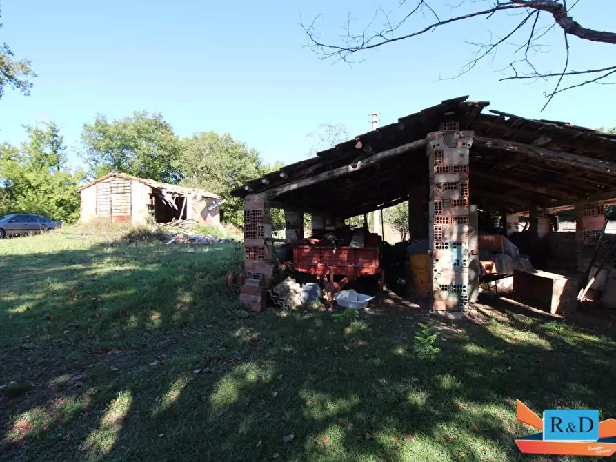 Immagine 6 di Appartamento in vendita  a Casole D'elsa