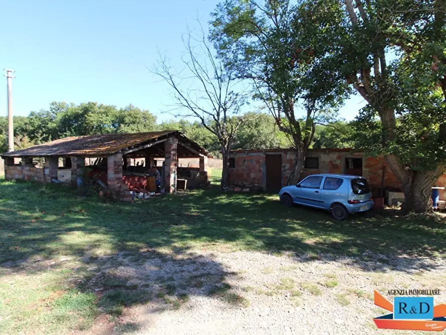 Immagine 5 di Appartamento in vendita  a Casole D'elsa