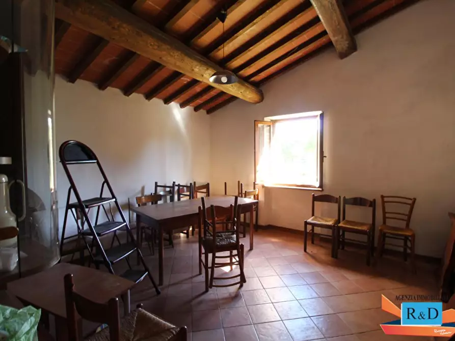 Immagine 14 di Appartamento in vendita  a Casole D'elsa