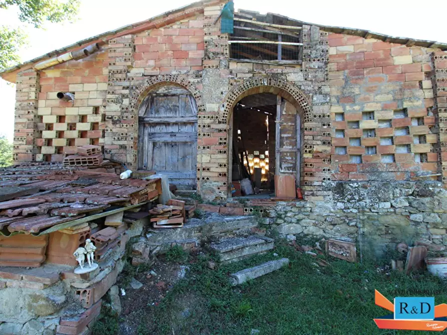 Immagine 3 di Appartamento in vendita  a Casole D'elsa