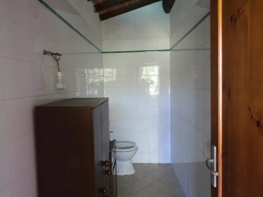 Immagine 17 di Appartamento in vendita  a Casole D'elsa