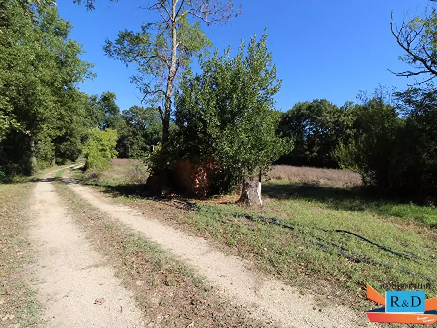 Immagine 8 di Appartamento in vendita  a Casole D'elsa