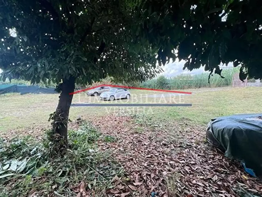 Immagine 3 di Laboratorio in vendita  a Massa