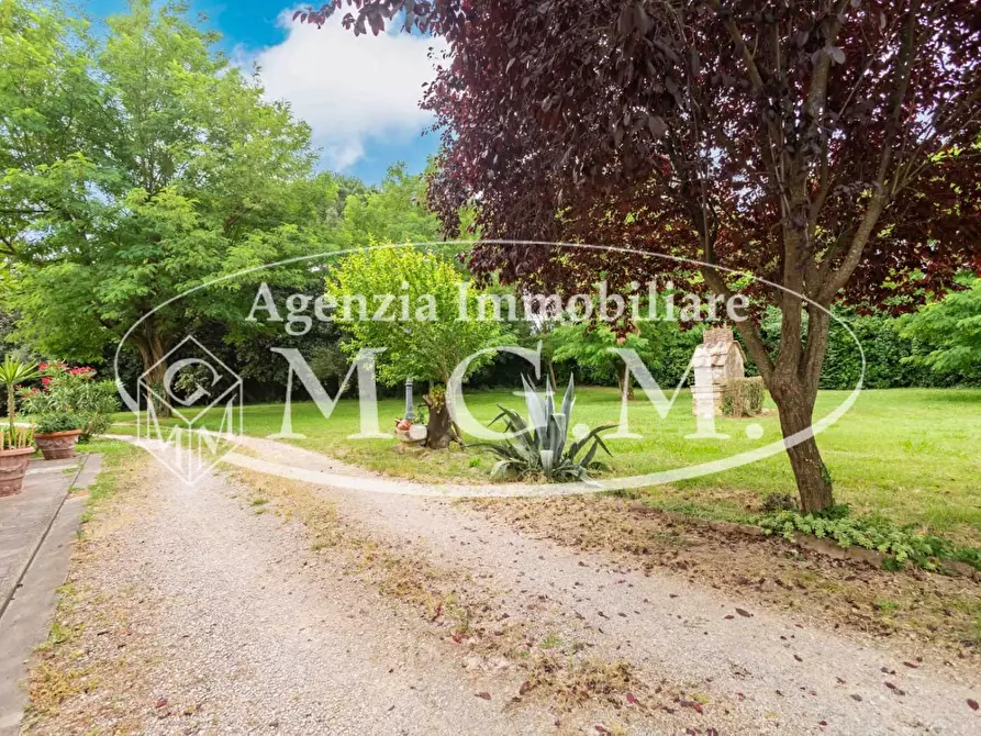 Immagine 10 di Rustico / casale in vendita  a Calcinaia