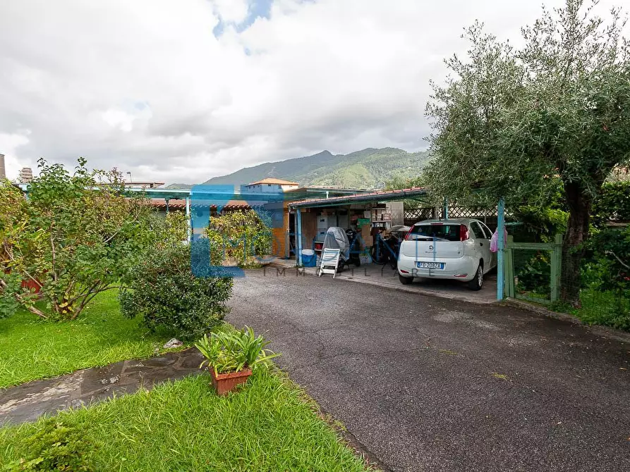 Immagine 8 di Villa in vendita  a Seravezza