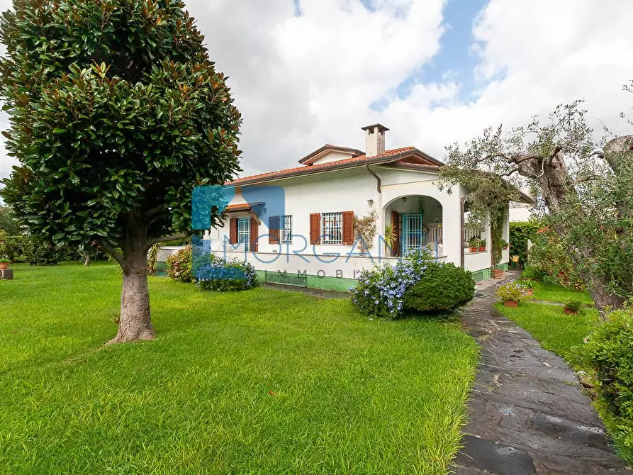 Immagine 3 di Villa in vendita  a Seravezza