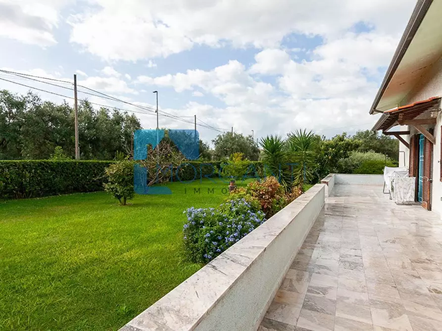 Immagine 11 di Villa in vendita  a Seravezza