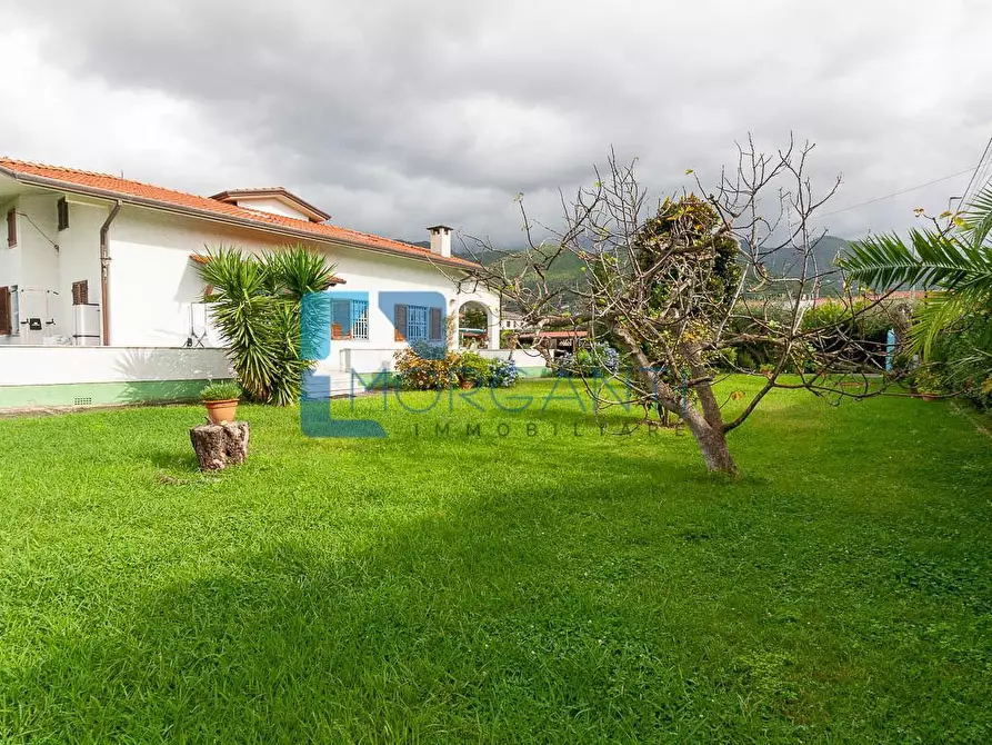 Immagine 6 di Villa in vendita  a Seravezza