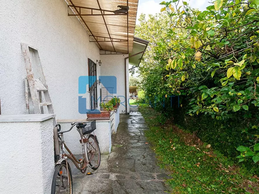 Immagine 19 di Villa in vendita  a Seravezza