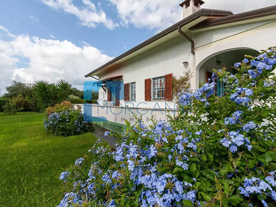 Immagine 2 di Villa in vendita  a Seravezza