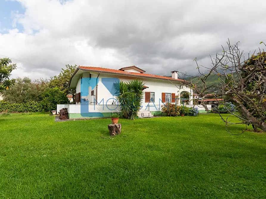 Immagine 5 di Villa in vendita  a Seravezza