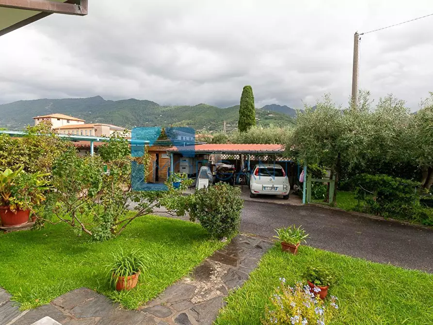 Immagine 7 di Villa in vendita  a Seravezza