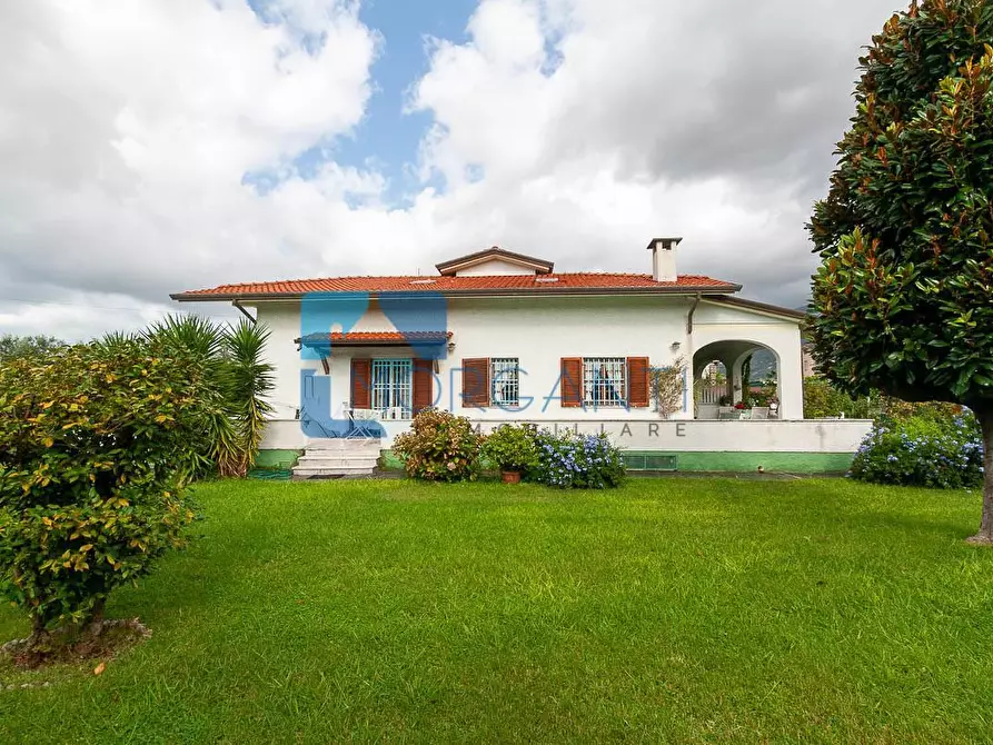 Immagine 4 di Villa in vendita  a Seravezza