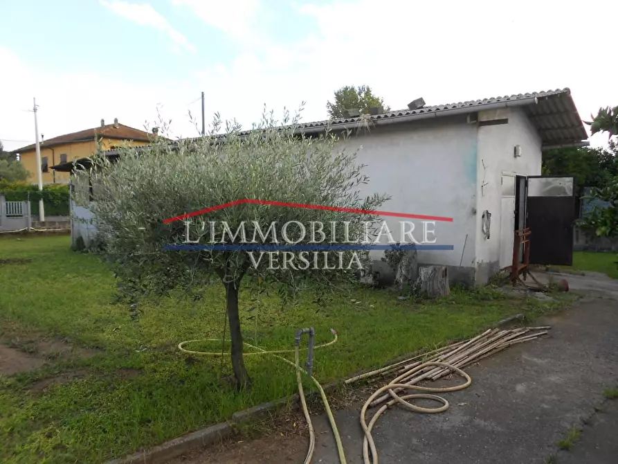 Immagine 27 di Casa indipendente in vendita  a Massa