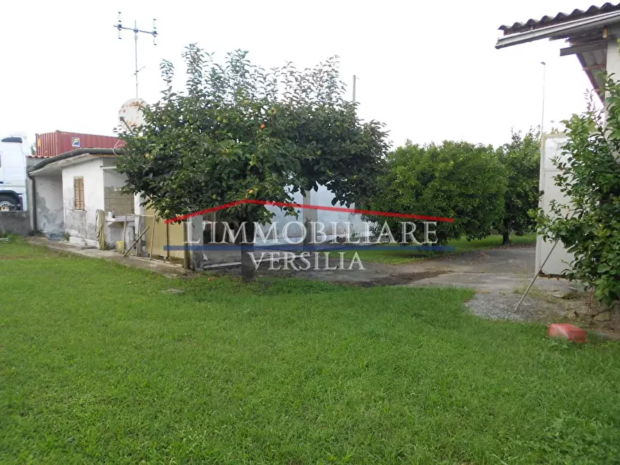 casa indipendente in vendita a Massa in zona Marina di Massa