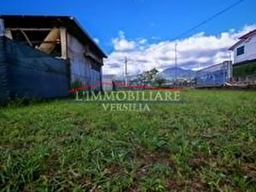 Immagine 5 di Casa indipendente in vendita  a Massa