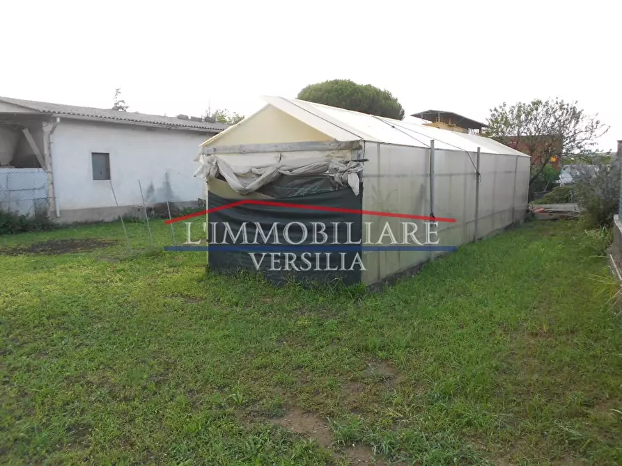 Immagine 33 di Casa indipendente in vendita  a Massa