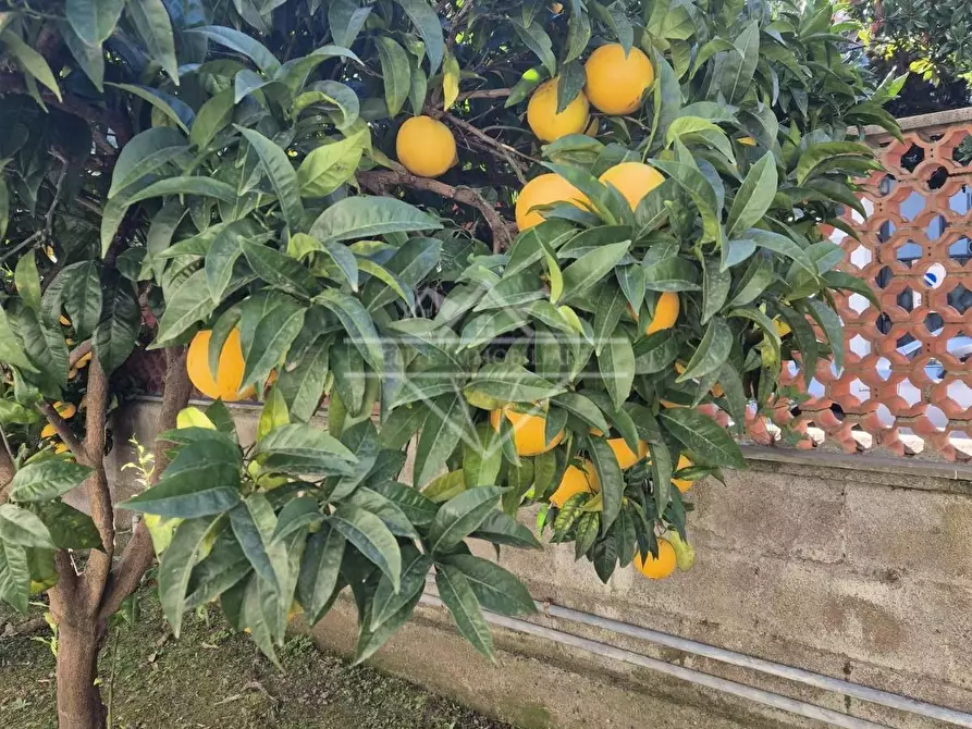 Immagine 10 di Appartamento in affitto  a Carrara