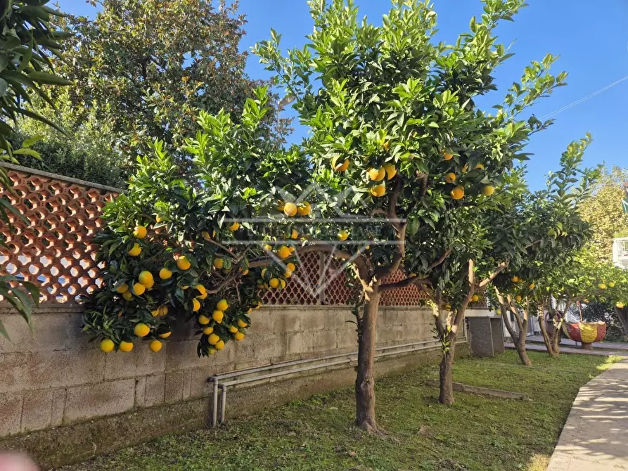 Immagine 12 di Appartamento in affitto  a Carrara