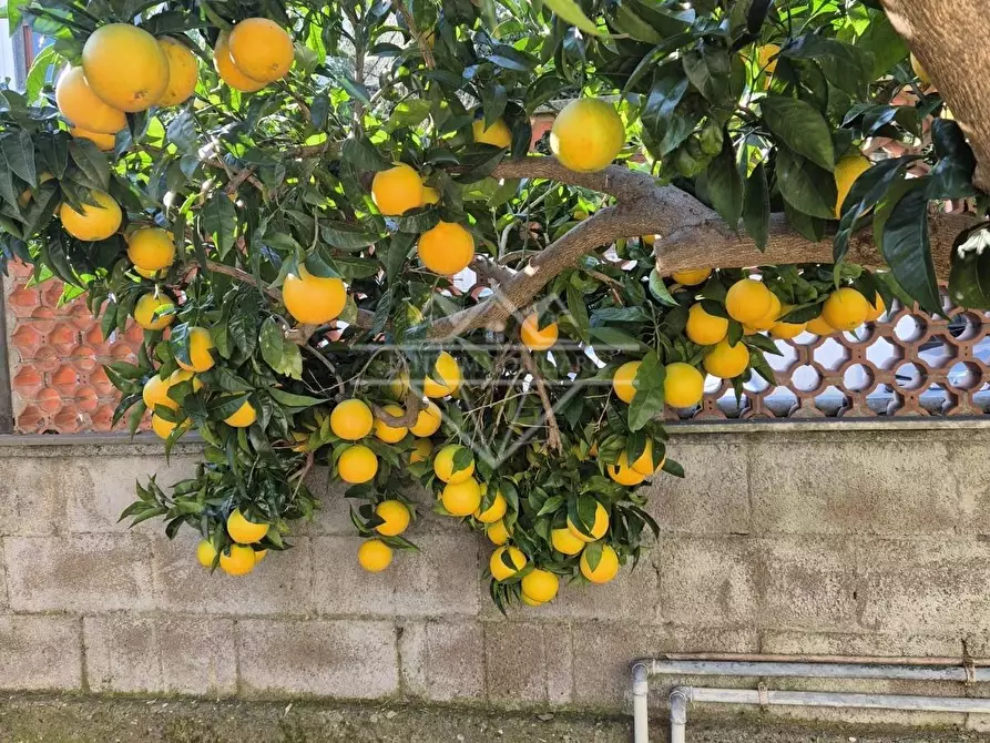 Immagine 11 di Appartamento in affitto  a Carrara