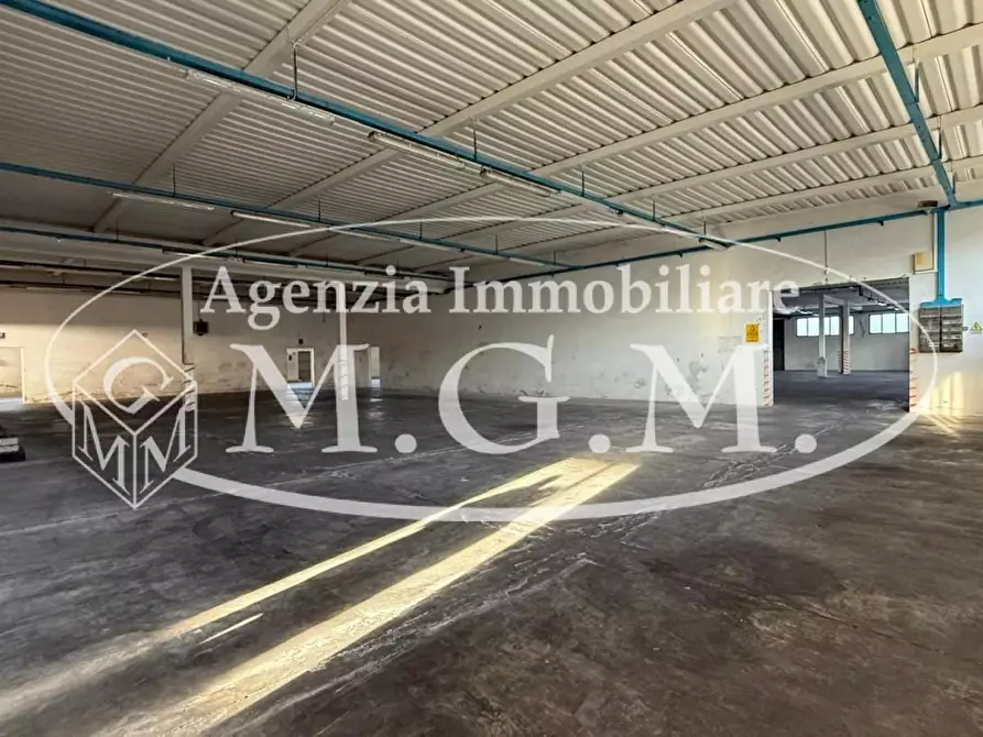 Immagine 6 di Capannone industriale in affitto  a Castelfranco Di Sotto