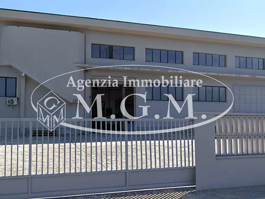 Immagine 2 di Capannone industriale in vendita  a Castelfranco Di Sotto