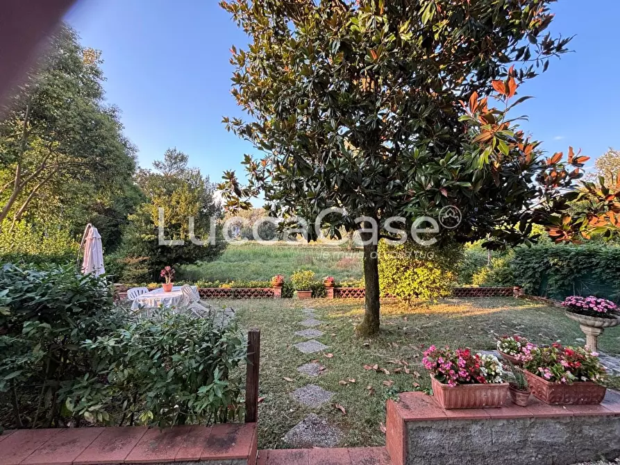 Immagine 36 di Appartamento in vendita  a Lucca