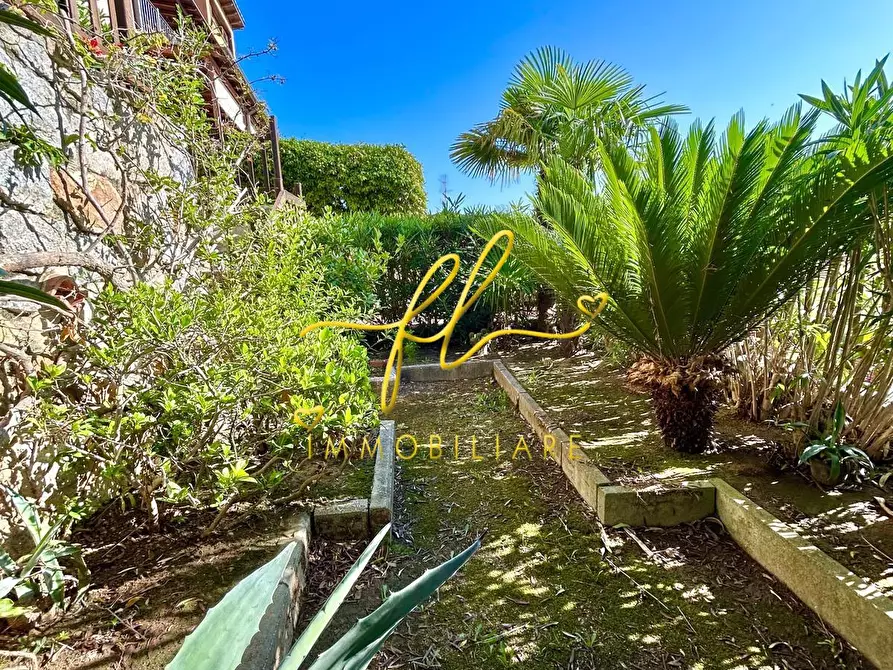 Immagine 5 di Appartamento in vendita  a Marciana