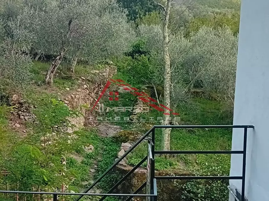 Immagine 27 di Villa in vendita  a Calci