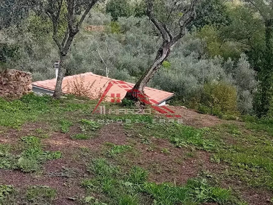 Immagine 19 di Villa in vendita  a Calci