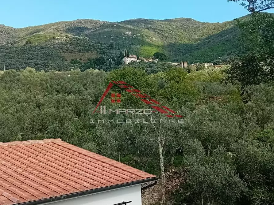 Immagine 4 di Villa in vendita  a Calci