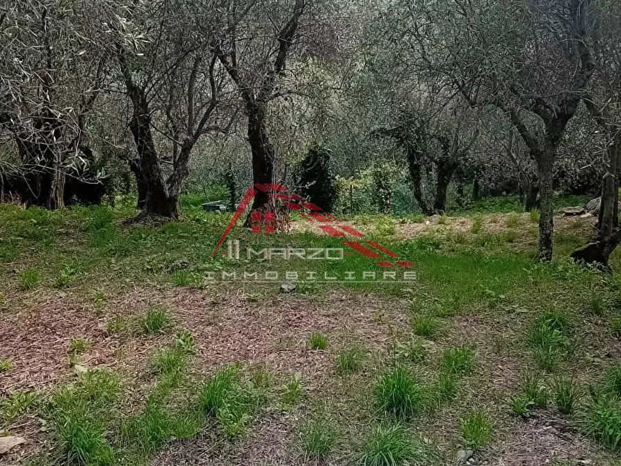 Immagine 13 di Villa in vendita  a Calci