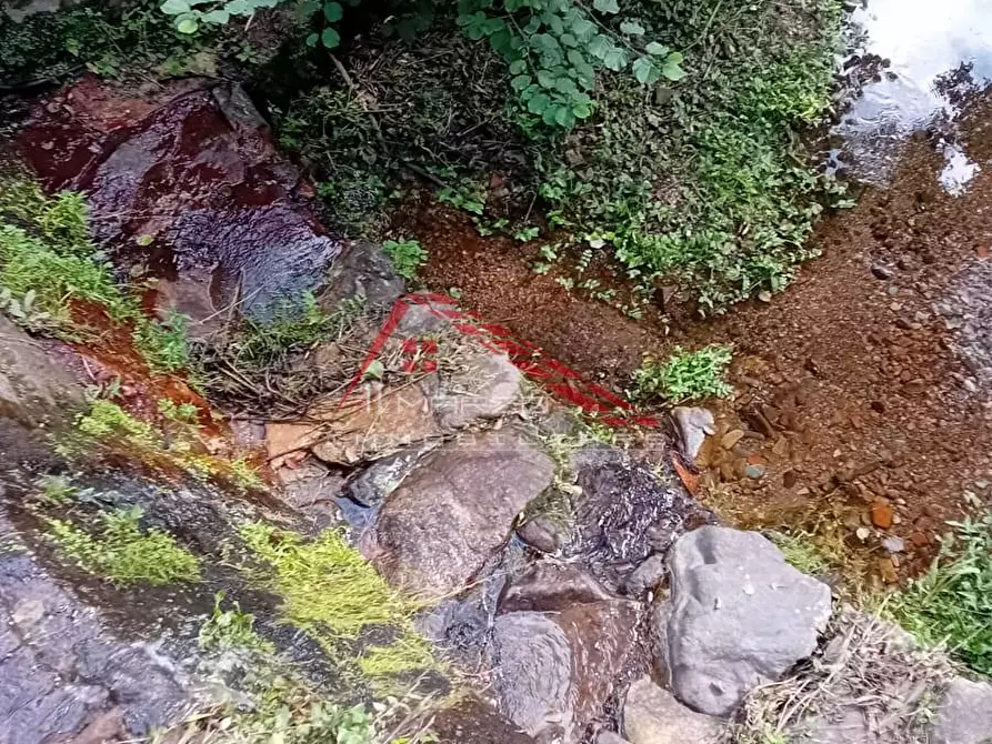 Immagine 24 di Villa in vendita  a Calci