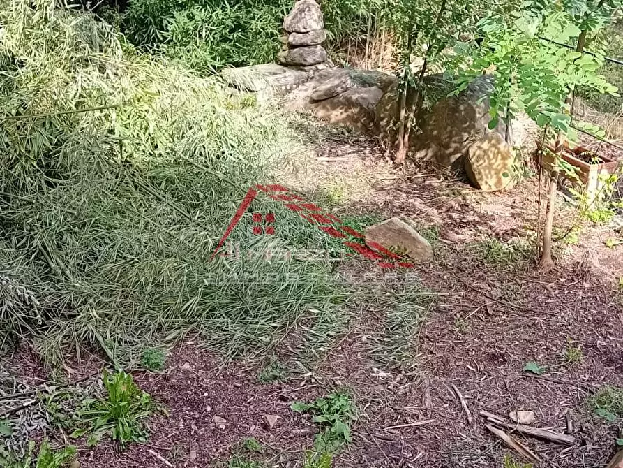 Immagine 25 di Villa in vendita  a Calci